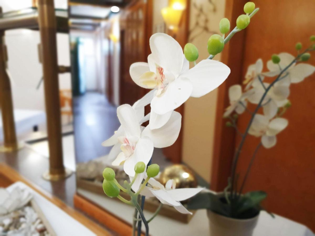 Hotel Am Kurpark 巴特温普芬 外观 照片